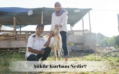 Şükür kurbanı nedir